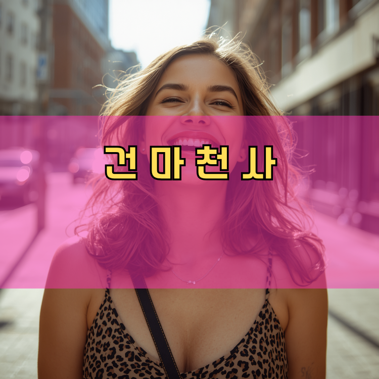 안양시 동안구 경기 지역 안내