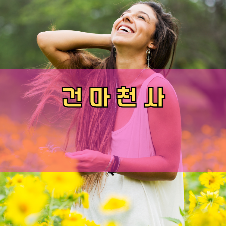 부천시 원미구 경기 지역 안내