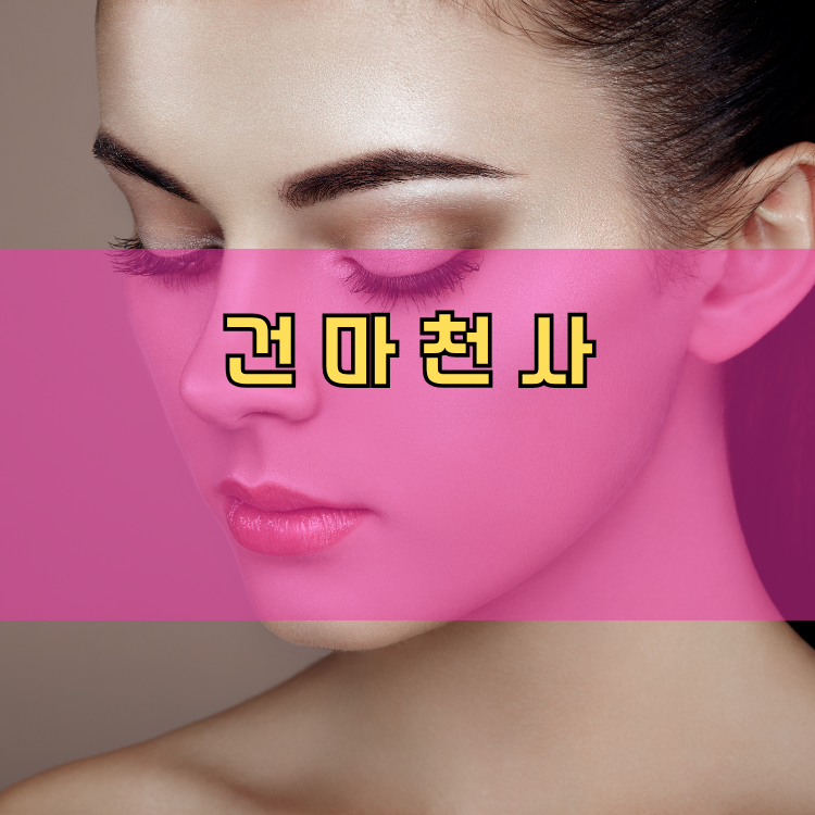 정왕4동 경기 지역 안내