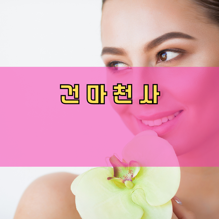 신천동 경기 지역 안내
